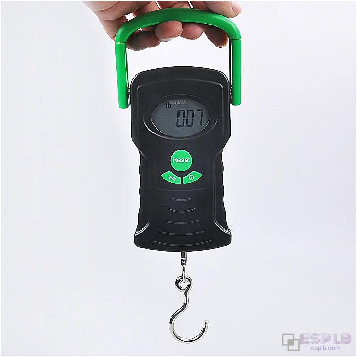 Portable Bag Scale, Case Scales, 44kg/10g Slide Handler Digital Luggage Scale with Thermometer